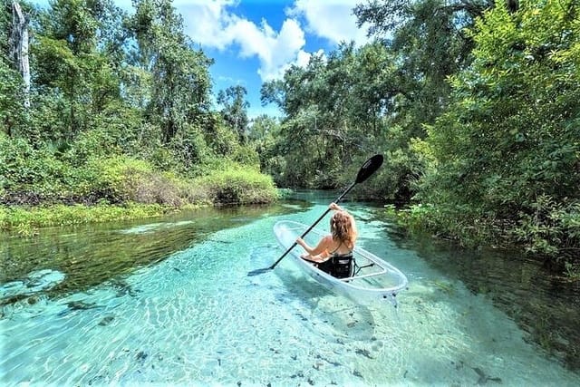 2-Hour Glass Bottom Guided Kayak Eco Tour in Rock Springs (Small-Group) - Photo 1 of 7